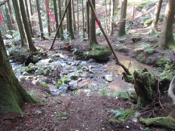 登山道